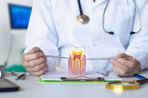 Best Cracked Tooth Emergency Dentist  in Hagerman, ID